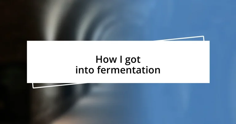 How I got into fermentation