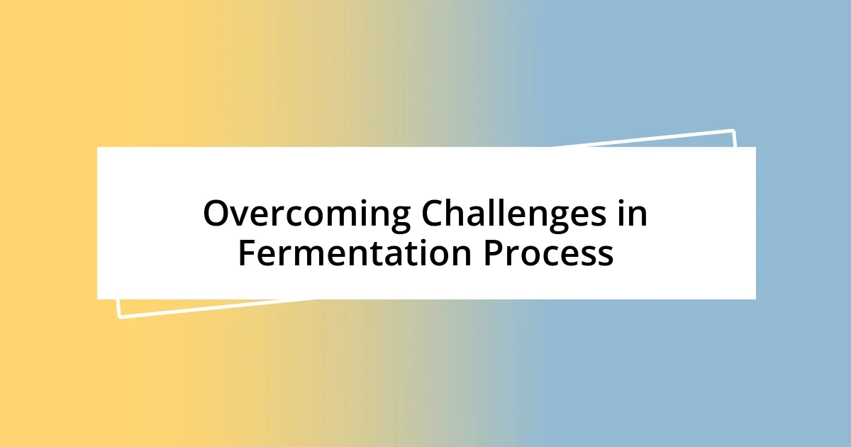 Overcoming Challenges in Fermentation Process