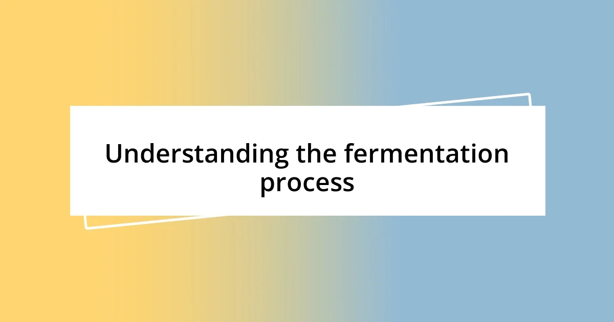 Understanding the fermentation process