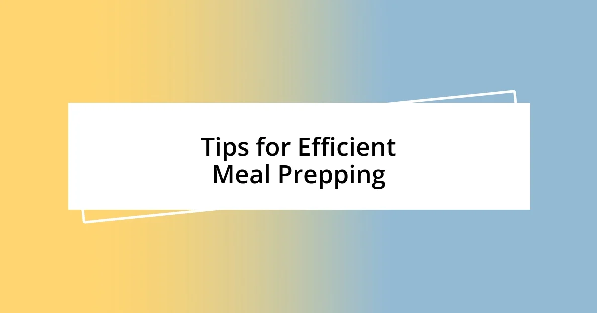 Tips for Efficient Meal Prepping