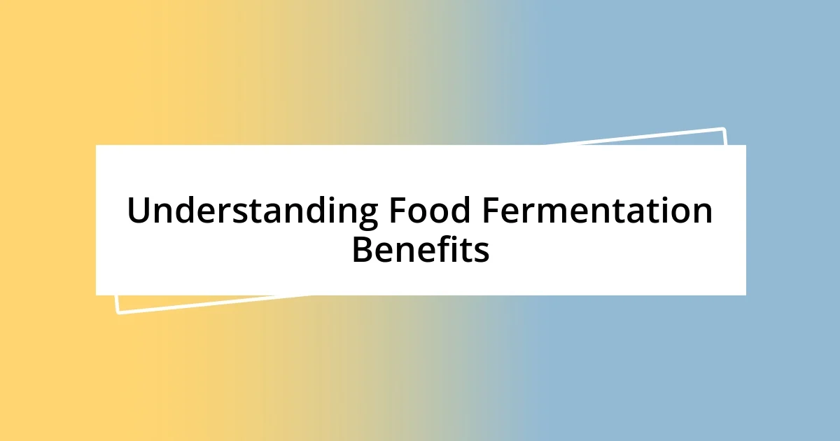 Understanding Food Fermentation Benefits