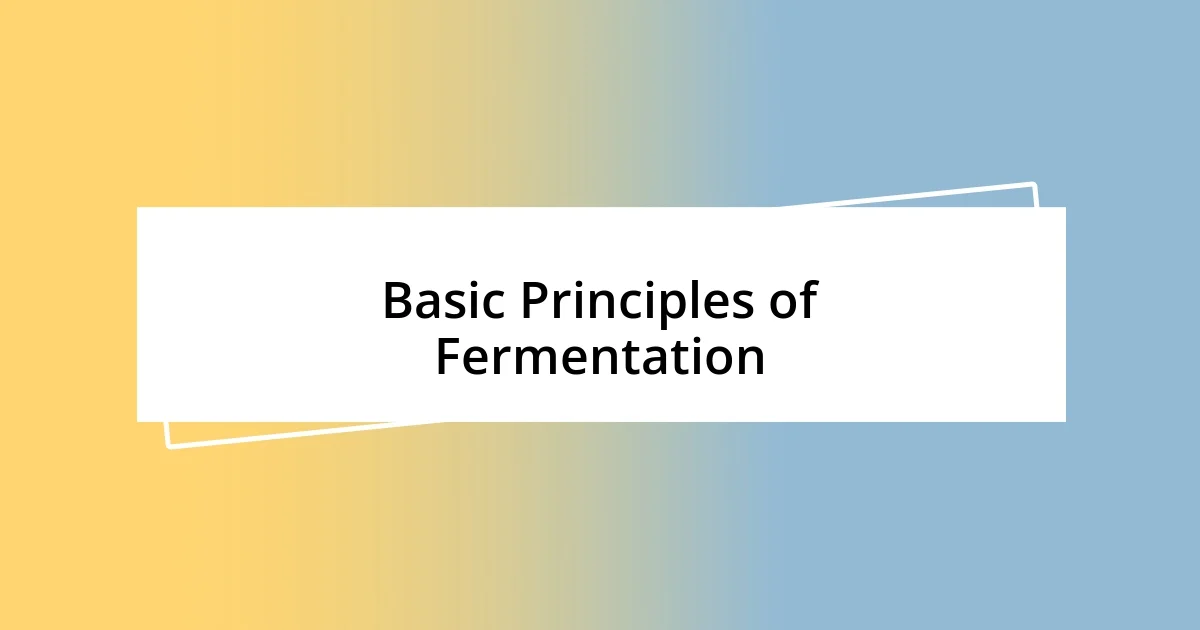 Basic Principles of Fermentation