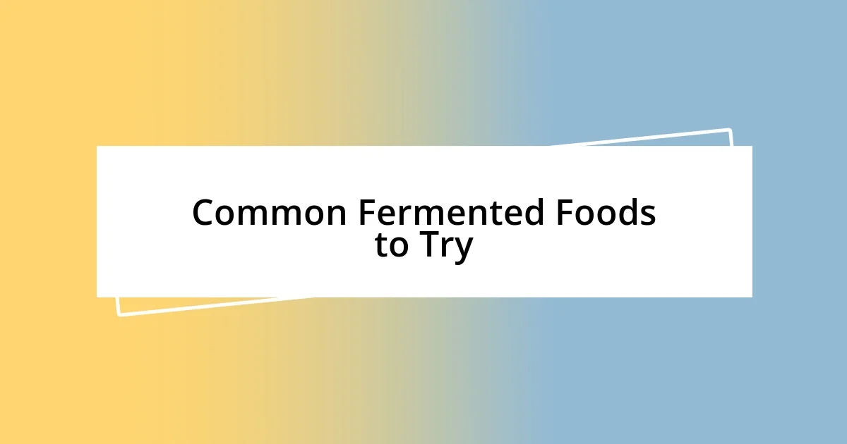 Common Fermented Foods to Try